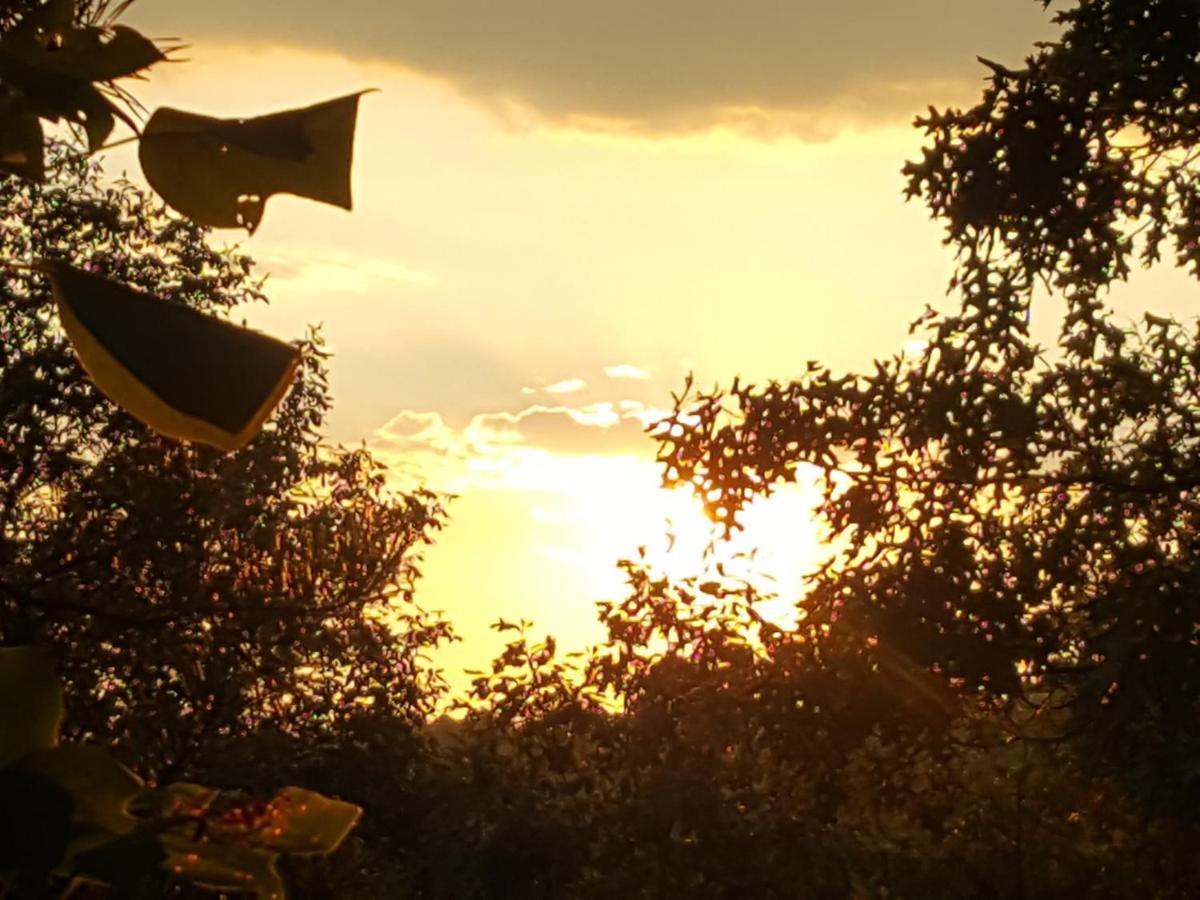 Sunset Ridge Cabin พิเจนฟอร์จ ภายนอก รูปภาพ
